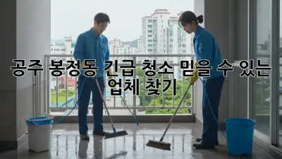 공주 봉정동 긴급 청소, 믿을 수 있는 업체 찾기