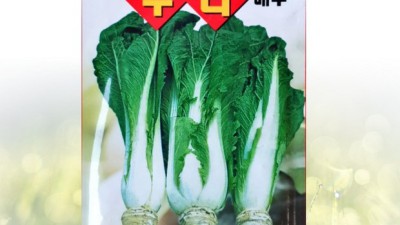 봄동모종 심고 텃밭 부자 되자!🌱 특가 꿀팁 공개!