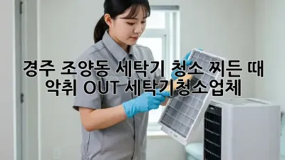 경주 조양동 세탁기 청소🧼 찌든 때 & 악취 OUT! #세탁기청소업체
