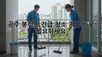공주 봉정동 긴급 청소, 지금 바로 필요하세요?
