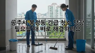 공주시 봉정동 긴급 청소! 당장 필요할 때 바로 해결하세요!