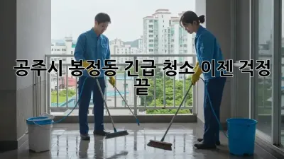 공주시 봉정동 긴급 청소, 이젠 걱정 끝!