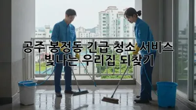 공주 봉정동 긴급 청소 서비스: 빛나는 우리집 되찾기!
