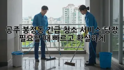 공주 봉정동 긴급 청소 서비스: 당장 필요할 때, 빠르고 확실하게!
